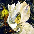 magnolia.jpg (19628 bytes)